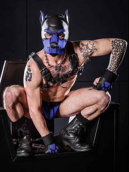 Mister S OPEN PAW Puppy Handschuhe - royal