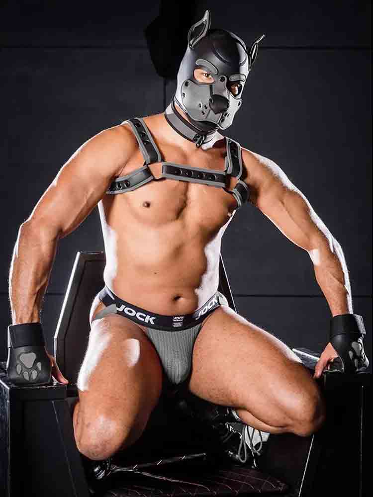 Mister S OPEN PAW Puppy Handschuhe - grau