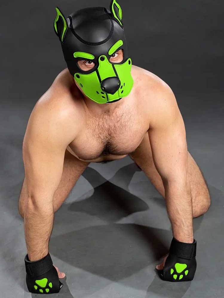Mister S OPEN PAW Puppy Handschuhe - lime