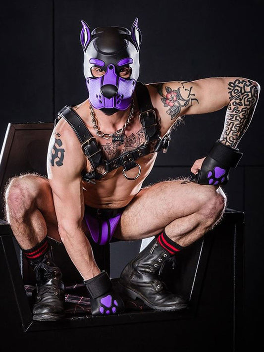 Mister S OPEN PAW Puppy Handschuhe - purple