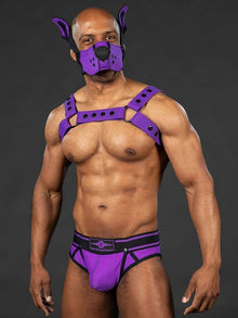 Mister S Silikon Brust Harness purple