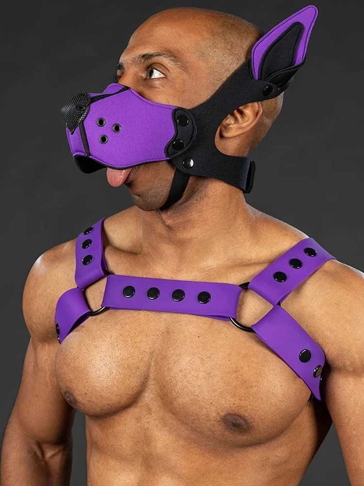 Mister S Silikon Brust Harness purple