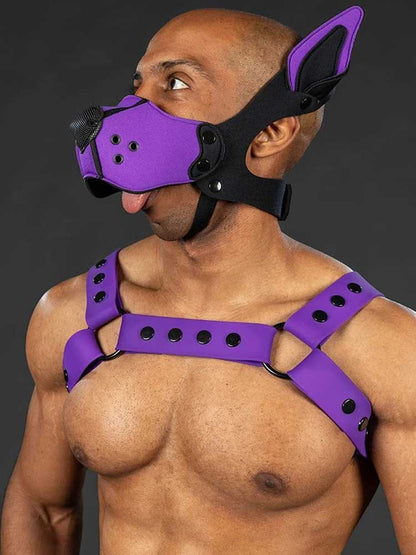 Mister S Silikon Brust Harness purple