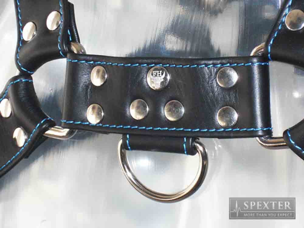 Oberkörper-Harness - BULLDOG - blau genäht - 4cm