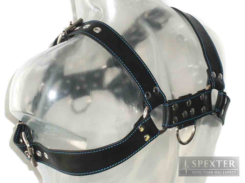 Oberkörper-Harness - BULLDOG - blau genäht - 4cm
