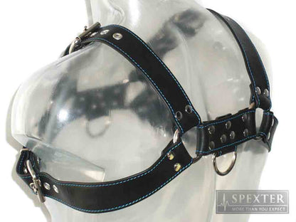 Oberkörper-Harness - BULLDOG - blau genäht - 4cm