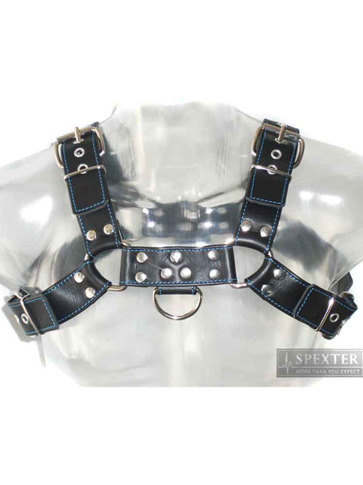 Oberkörper-Harness - BULLDOG - blau genäht - 4cm