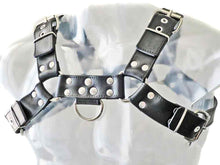 Oberkörper-Harness BULLDOG - schwarz genäht - 4cm