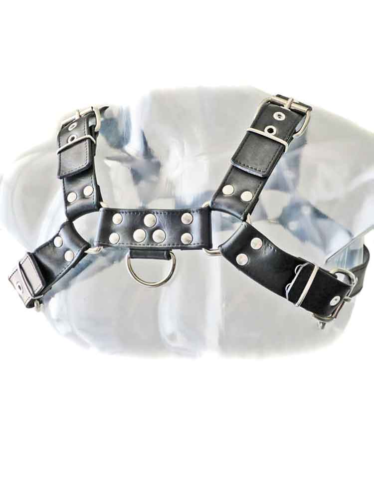 Oberkörper-Harness BULLDOG - schwarz genäht - 4cm