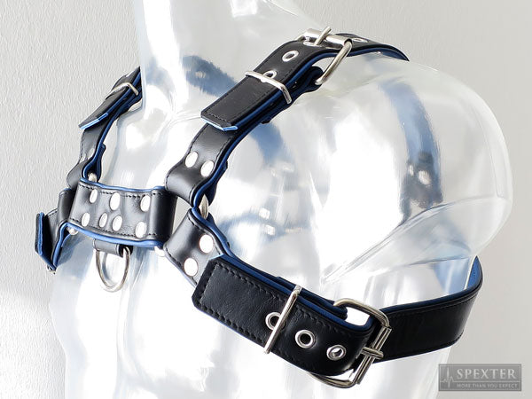 Oberkörper-Harness PITBULL mit blauer Paspel - 4cm - S