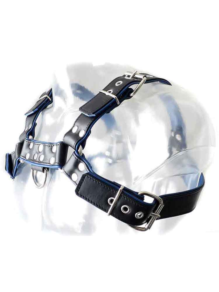Oberkörper-Harness PITBULL mit blauer Paspel - 4cm