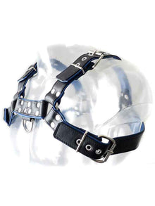 Oberkörper-Harness PITBULL mit blauer Paspel - 4cm