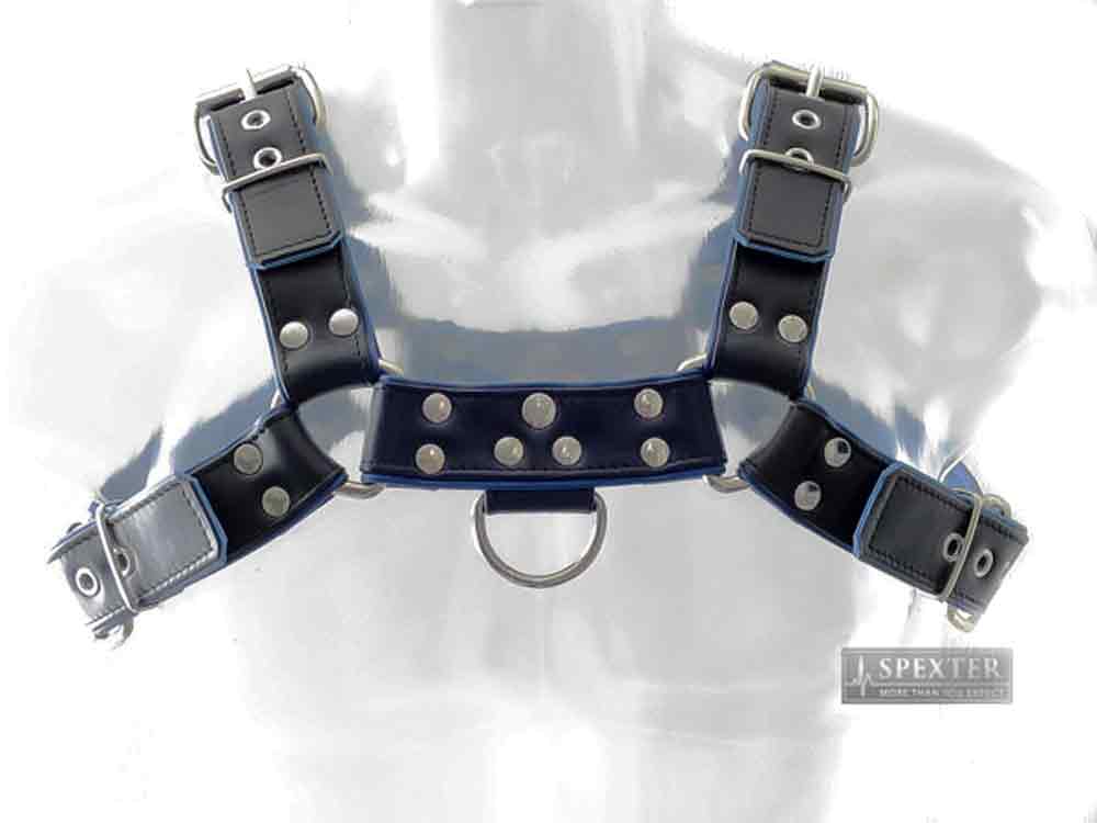 Oberkörper-Harness PITBULL mit blauer Paspel - 4cm