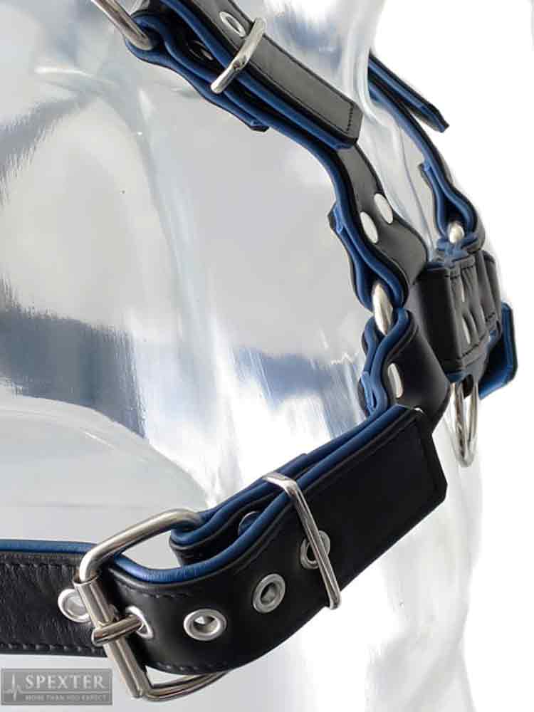 Oberkörper-Harness PITBULL mit blauer Paspel - 4cm