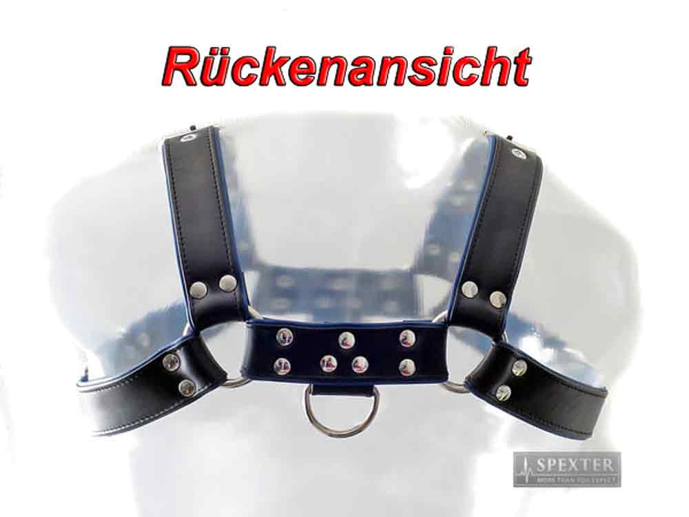 Oberkörper-Harness PITBULL mit blauer Paspel - 4cm
