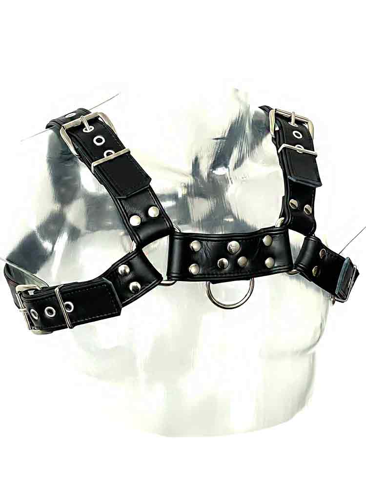 Oberkörper-Harness PITBULL mit schwarzer Paspel - 4cm