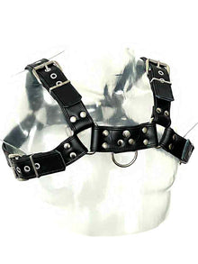 Oberkörper-Harness PITBULL mit schwarzer Paspel - 4cm