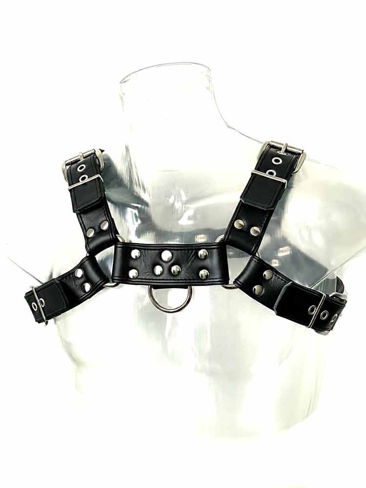 Oberkörper-Harness PITBULL mit schwarzer Paspel - 4cm