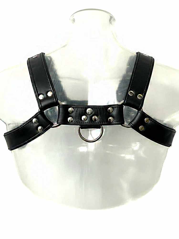 Oberkörper-Harness PITBULL mit schwarzer Paspel - 4cm