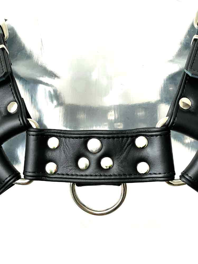 Oberkörper-Harness PITBULL mit schwarzer Paspel - 4cm
