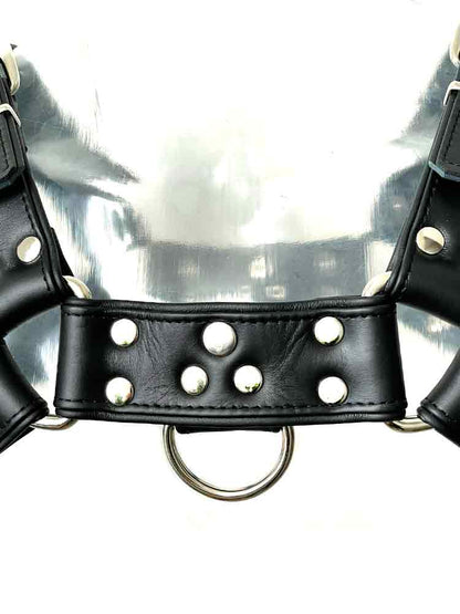 Oberkörper-Harness PITBULL mit schwarzer Paspel - 4cm