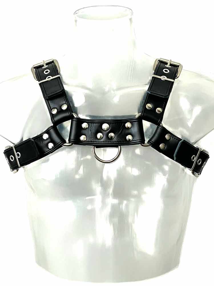 Oberkörper-Harness PITBULL mit schwarzer Paspel - 4cm