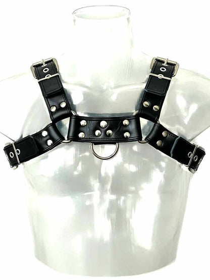 Oberkörper-Harness PITBULL mit schwarzer Paspel - 4cm
