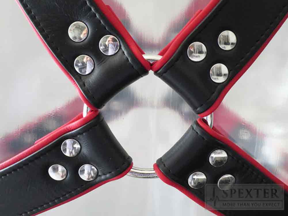 Oberkörper-Harness mit Schließen - rote Paspel - 4cm