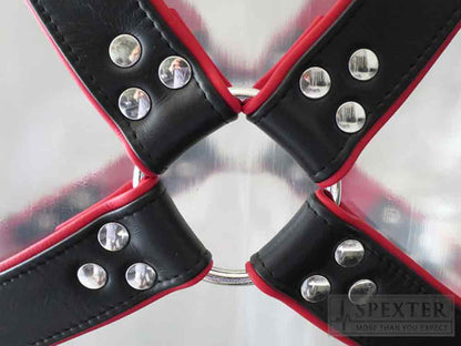 Oberkörper-Harness mit Schließen - rote Paspel - 4cm