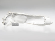 Oxball FIDO Cocksheath - PUPPY Penishülle - transparent