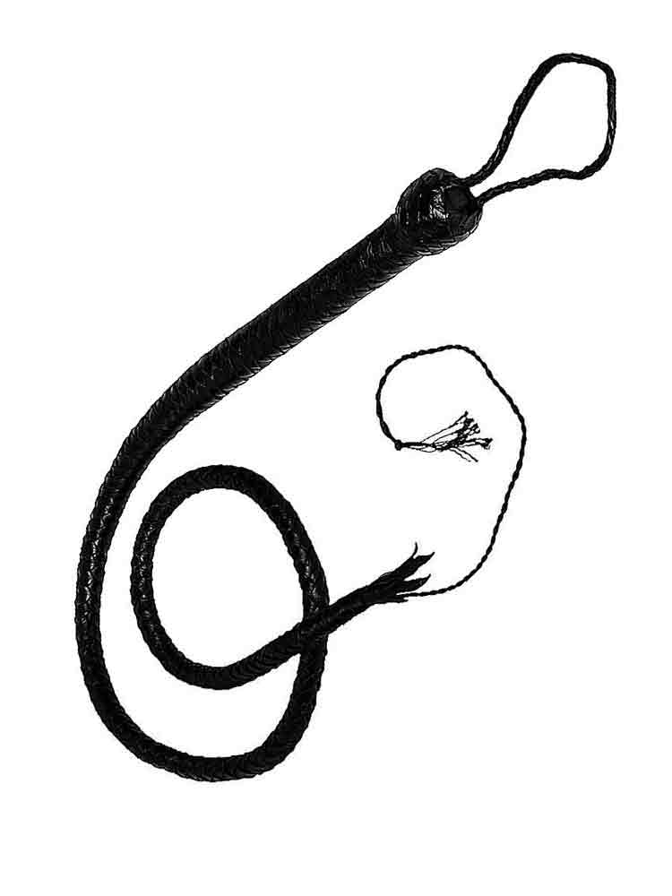Peitsche Bullenpeitsche Singletail 120cm
