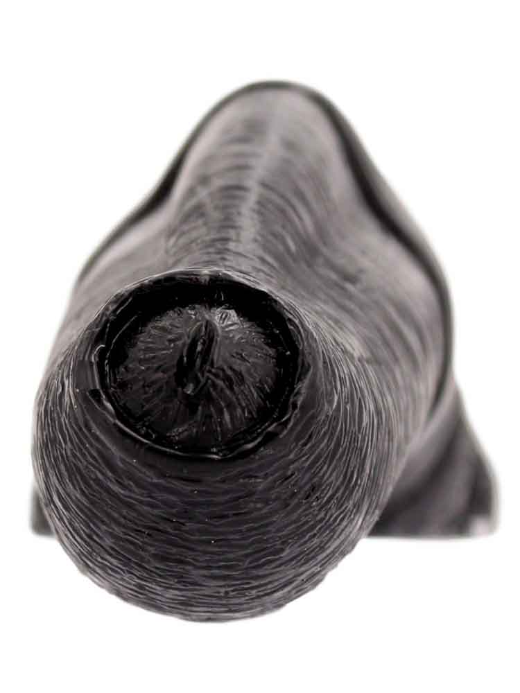 Dildo / Plug SEAWORM 25 x 6.5cm
