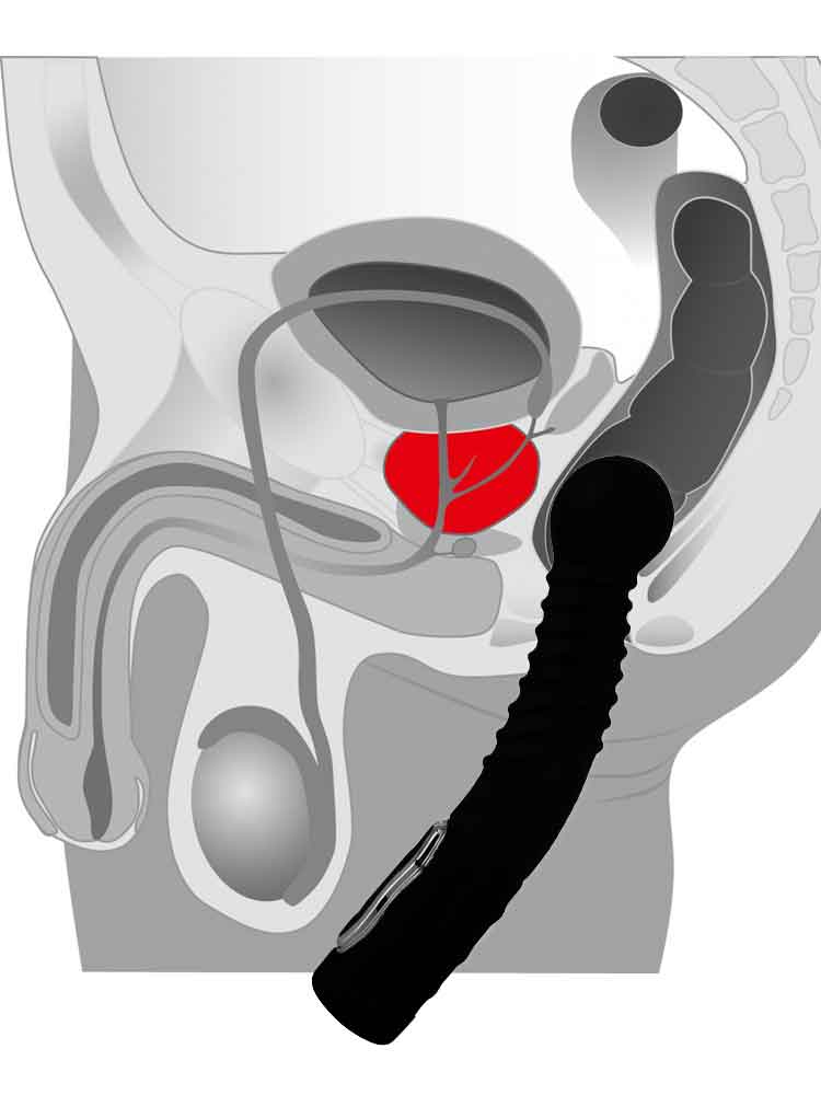Prostate rotierender Massager - schwarz