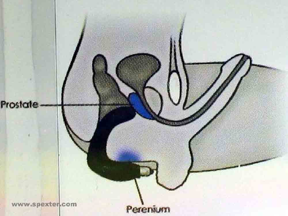 ROCKS-OFF RUDE BOY Prostate Vibrator - schwarz