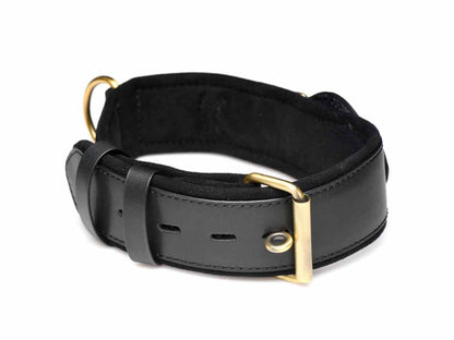 Tracking Halsband abschließbar schwarz