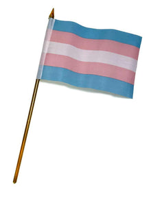 Transgender Pride Flagge 10x15cm