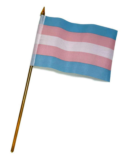 Transgender Pride Flagge 10x15cm