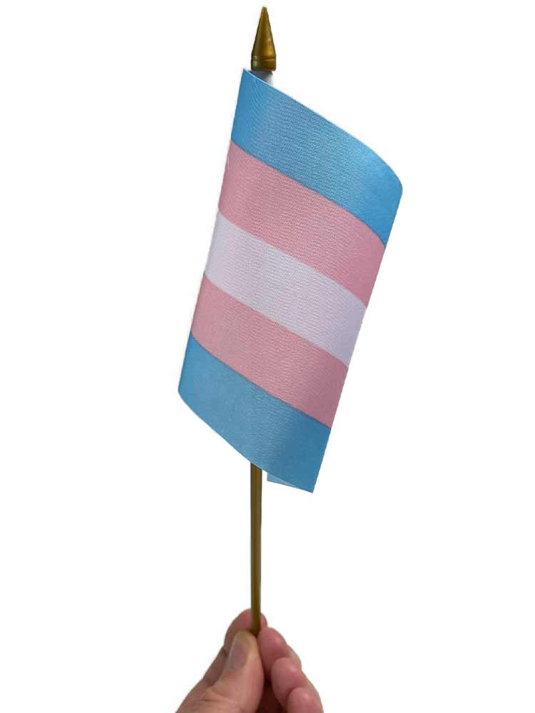 Transgender Pride Flagge 10x15cm