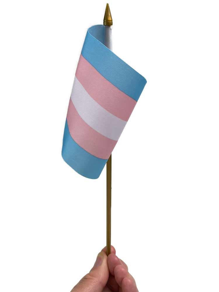Transgender Pride Flagge 10x15cm