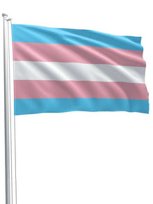 Transgender Pride Flagge 90x150cm
