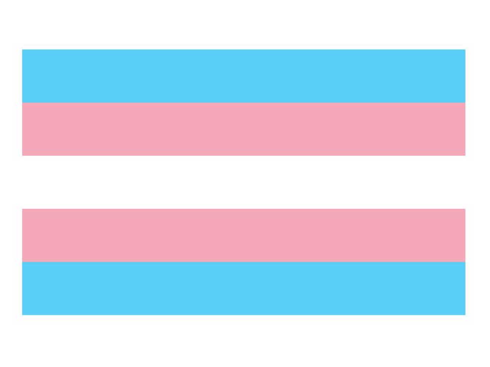 Transgender Pride Flagge 90x150cm