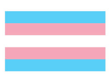Transgender Pride Flagge 90x150cm