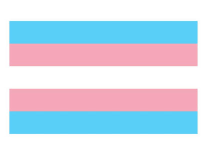 Transgender Pride Flagge 90x150cm