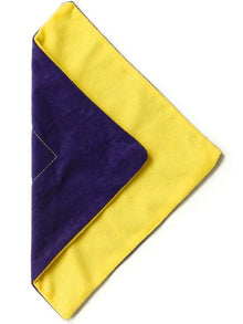 VIVISHINE Poliertuch VIVIWIPE 25x25cm