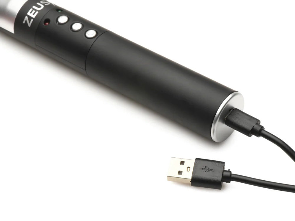ZEUS E-Stim Spiked Paddel
