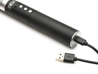 ZEUS E-Stim Spiked Paddel